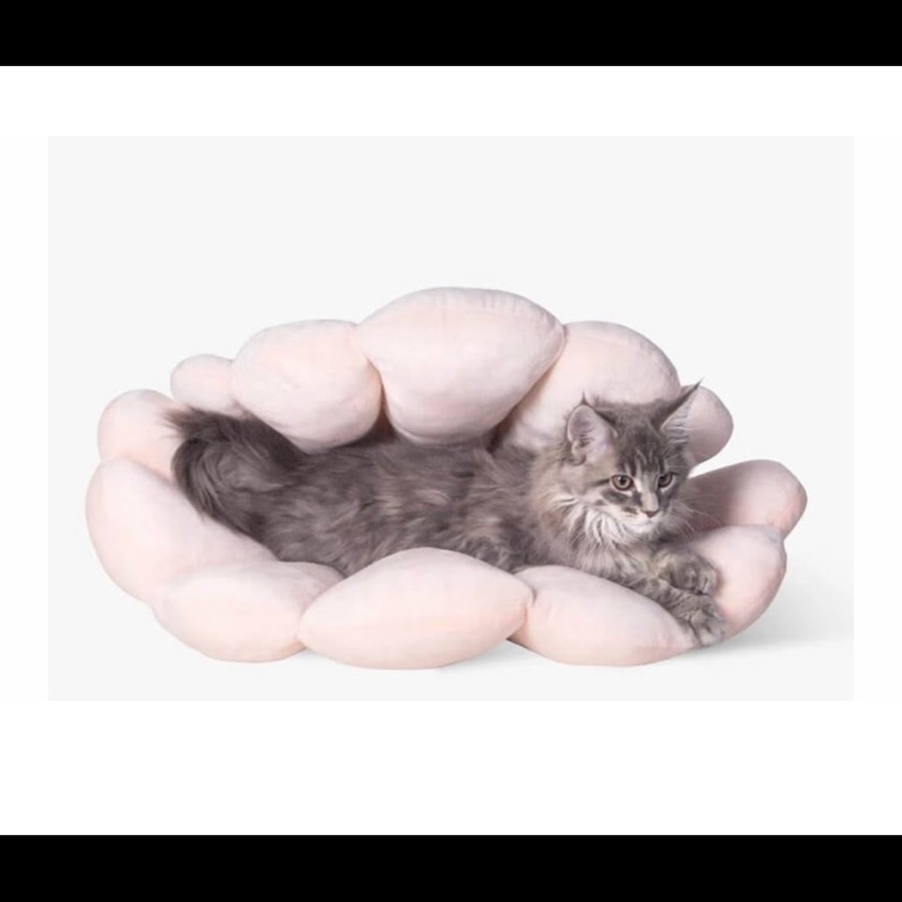 Pink sea shell cat bed